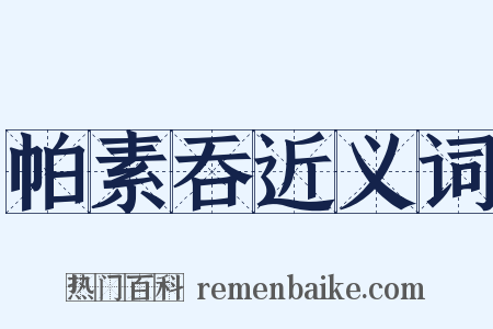 帕素吞近义词是什么意思的图片